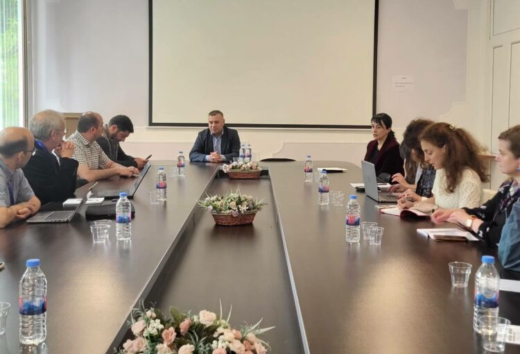 შეხვედრა იაკობ გოგებაშვილის სახელობის თელავის სახელმწიფო უნივერსიტეტში