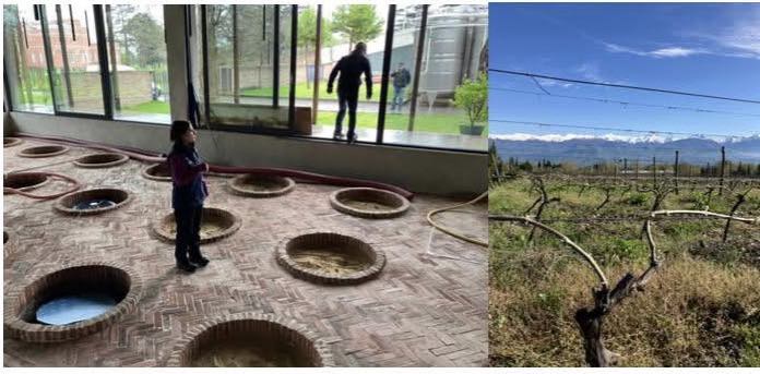 Appel à candidatures – École d’automne Vinifera – Clôture le 15 août 2025